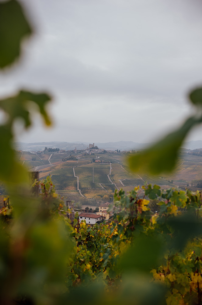 Piemont2025-1006807-web