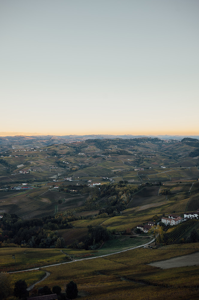 Piemont2025-1006898-web