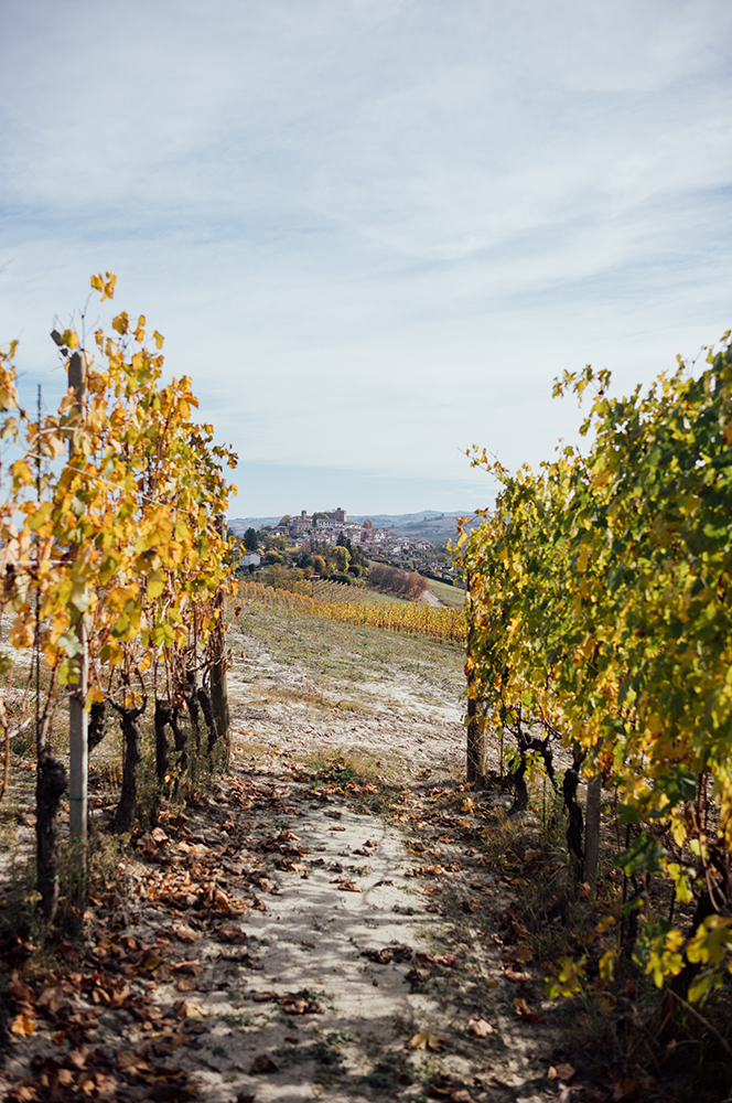 Piemont2025-1007016-web